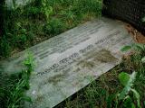 image of grave number 219746